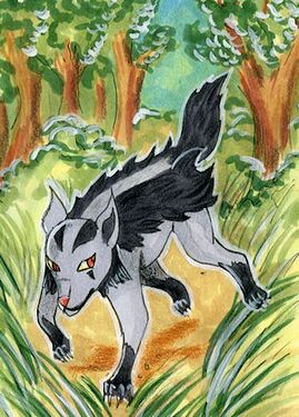 376 - Durch den Wald