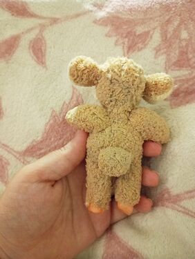 IMG_20250628_013954_253