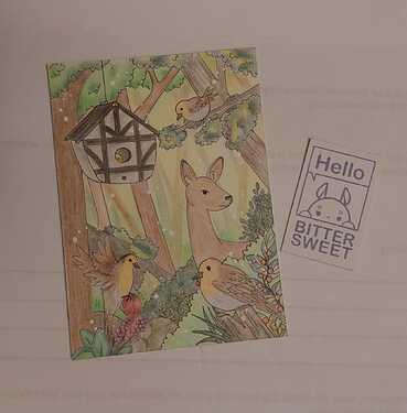 WhatsApp Image 2024-01-27 at 17.17.46