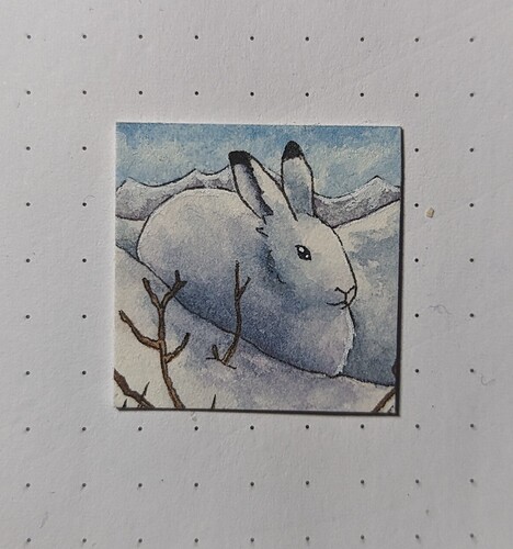 PXL_20221219_044121084