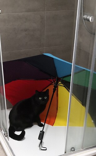 IMG_20240224_170916_edit_1721283351647764