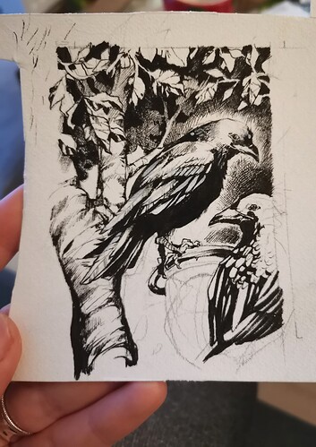 IMG_20240402_193351_edit_59820562176808