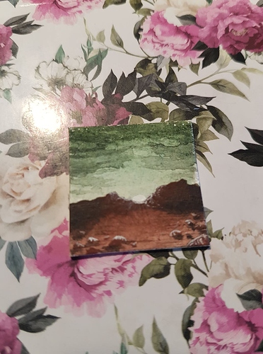 131418060_410164416803229_9154974959303821987_n