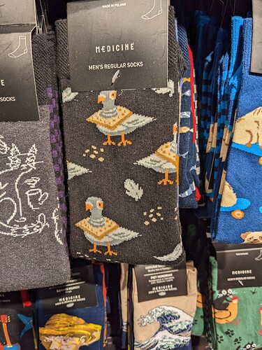 PXL_20230325_122318703