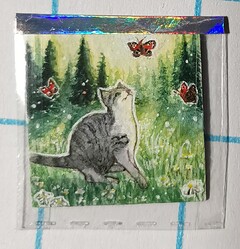 IMG_20231223_085248_edit_333922842712065