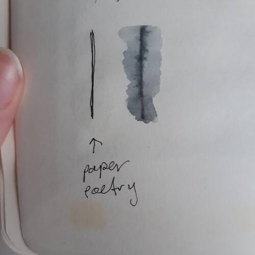 16397384326182917080017449225516