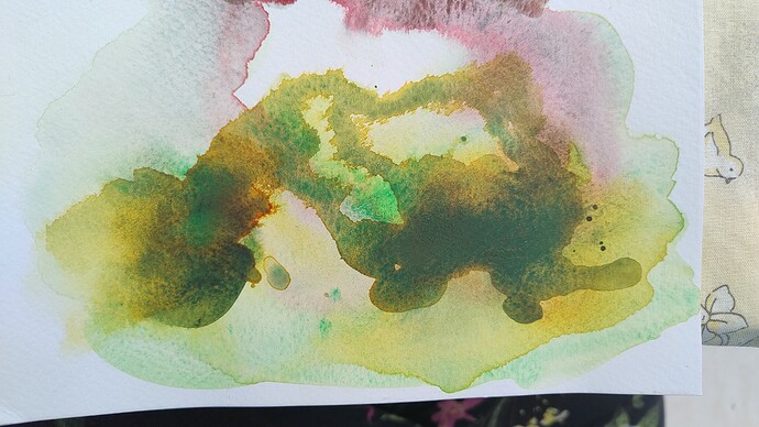 IMG_20240616_125029950