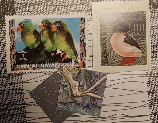 IMG_20241209_163054783