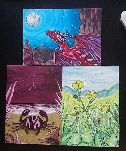 photo_2021-01-26_12-55-12