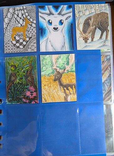 PXL_20250414_141012841