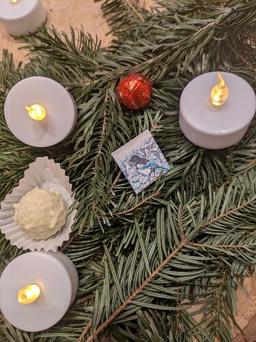 PXL_20241215_074248913