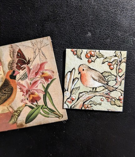 PXL_20231212_155839012