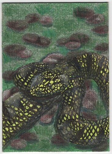 eec1429d92869facd020b5bf5d94821491bcce0f_2_732x1000