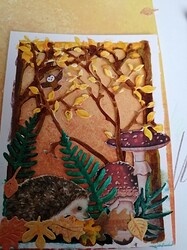 IMG_20220619_0802551