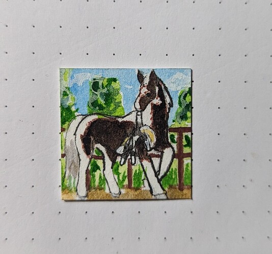 PXL_20221223_060439634