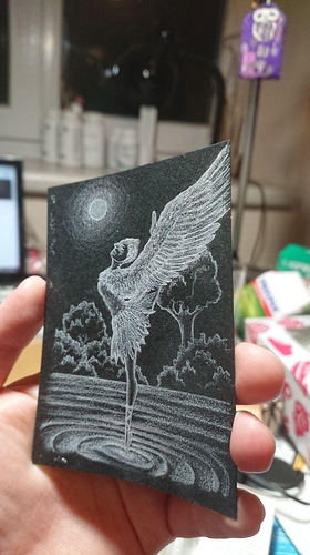 photo_2020-03-09_01-16-10 (2)