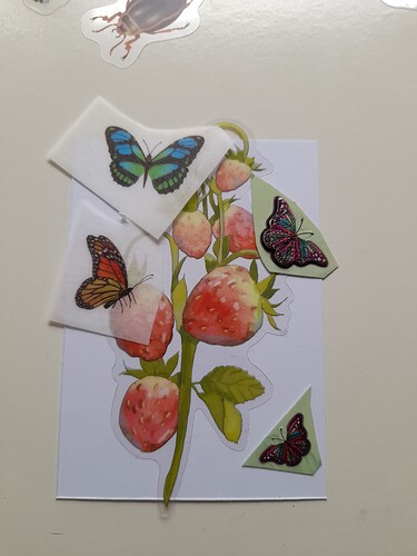 20230725_132601_Original