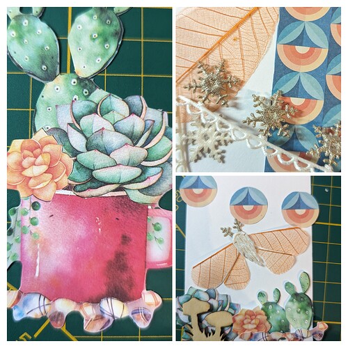 20240322_122428-COLLAGE