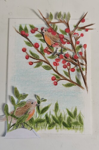 IMG_20210503_095535_edit_328540249272783