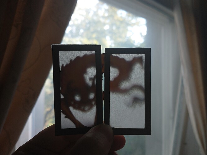 IMG_20231001_134432565