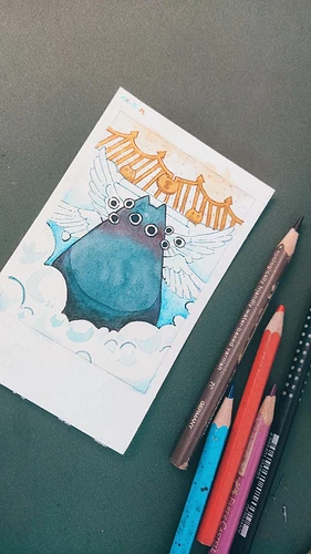 IMG_20240827_145648_568