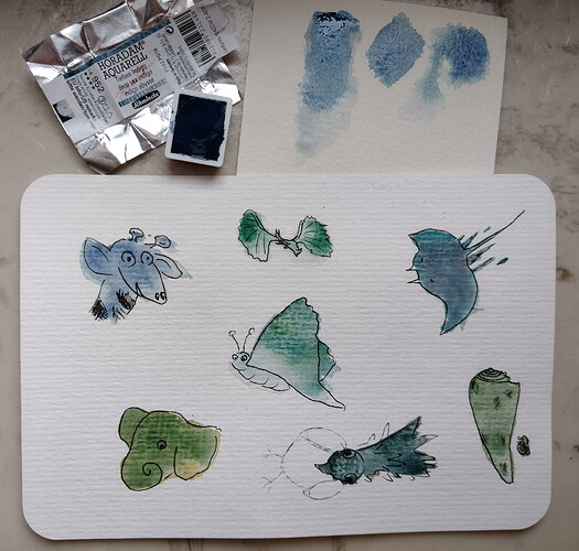 IMG_20231218_132724796