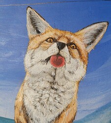 IMG_20220821_173051137