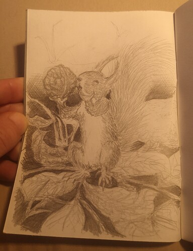 IMG_20231202_105557_edit_24479379052514