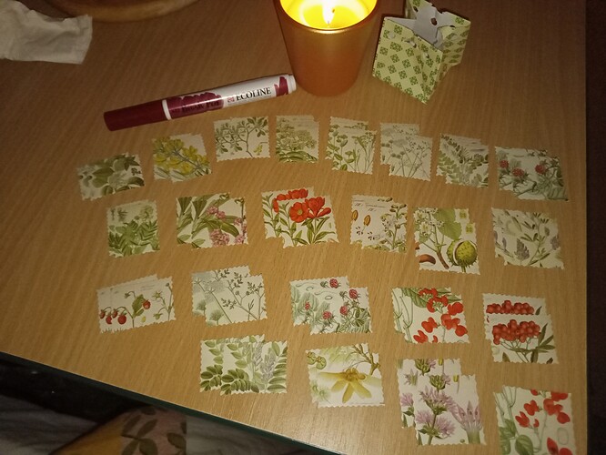 IMG_20211203_000534_575