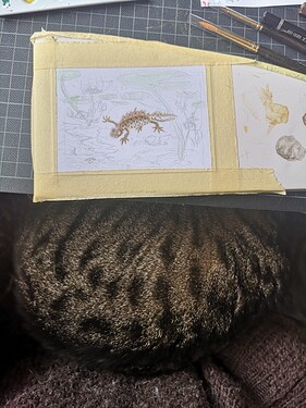 IMG_20230421_125804_edit_1454583526696791