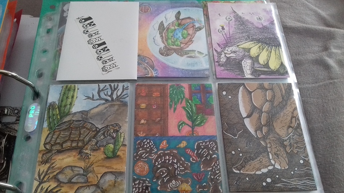 161002843270366589593