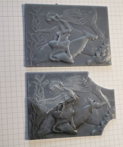 IMG_20251101_150049_edit_236412737420175