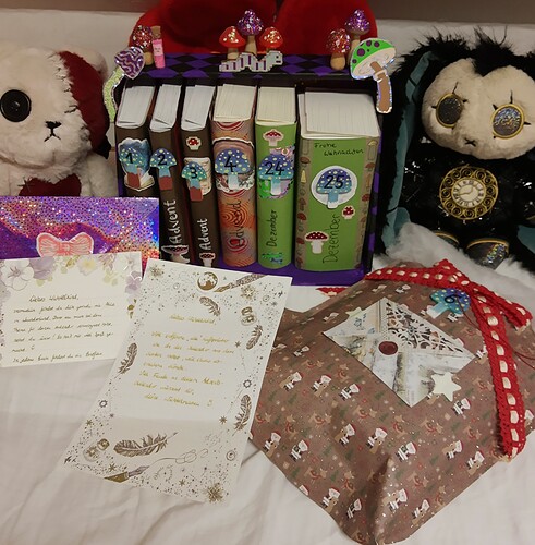 IMG_20241108_174029685~2