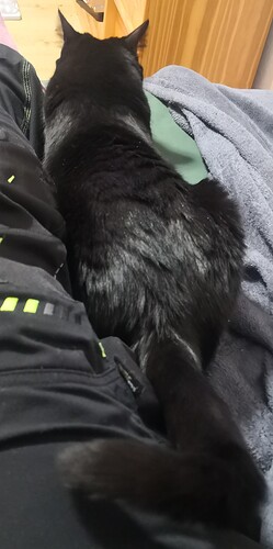 IMG_20250329_211409_edit_34679647205644