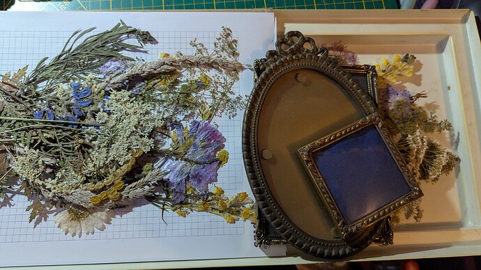 PXL_20260104_144750948