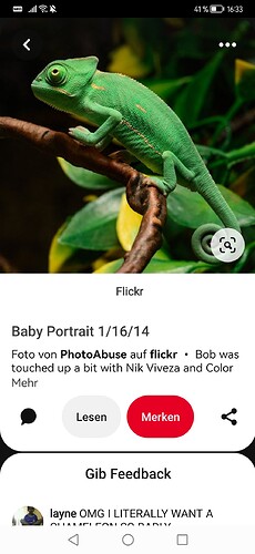 Screenshot_20230227_163349_com.pinterest