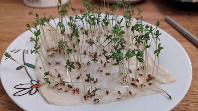 PXL_20220315_205730790