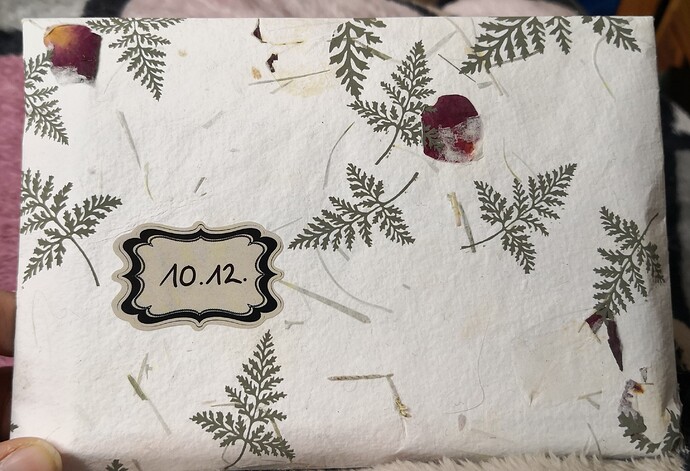 IMG_20231210_113209_edit_636565472253906