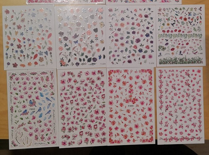 IMG_20241209_115934_edit_59525591984145