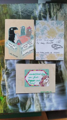 IMG_20230405_073720_601