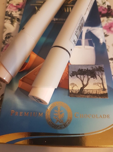 131932210_209963137280048_6354445351832003810_n