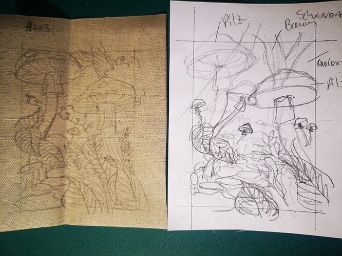 IMG_20250502_201140_edit_595667949639315