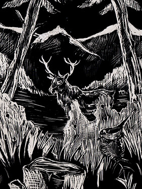 Karte x22 weißer Hirsch