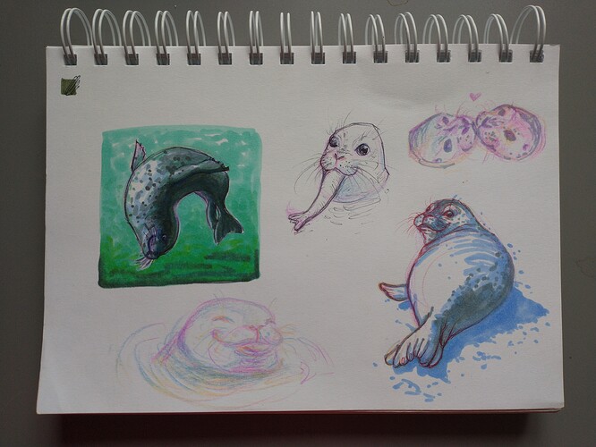 IMG_20231226_100816754