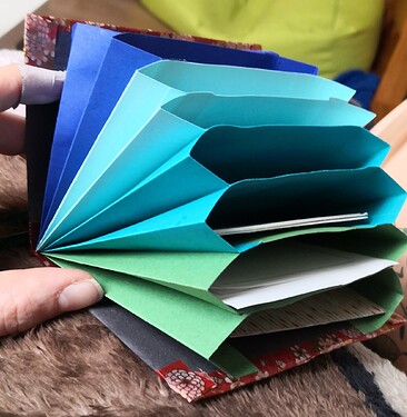 IMG_20231210_114509_edit_636785596084602