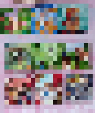 IMG_20221104_212356_759