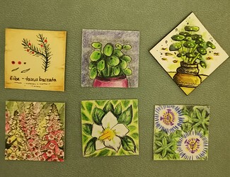 IMG_20251215_212610_edit_66296144186237