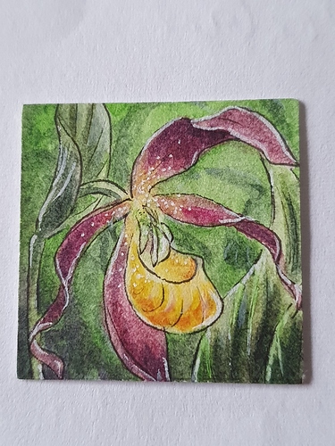 16072442721364407362092394944567