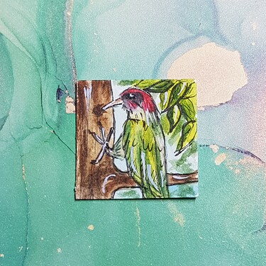 20221212_064930_resized