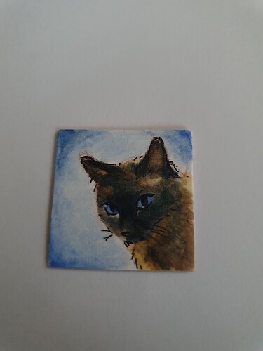 17344297330871021848484386185699